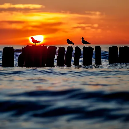 Whiteblue 56 Blizej Morza Daire Kolobrzeg