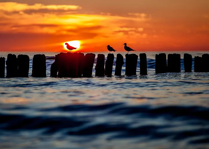 Whiteblue 56 Blizej Morza Apartment Kolobrzeg